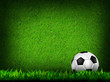 football in green grass football in green grass
