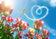 Sommer Liebe,