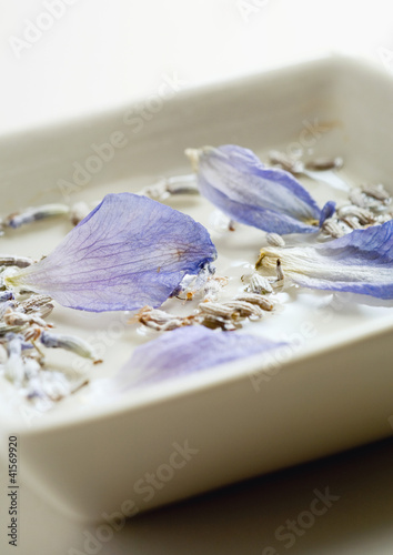 Foto: Petals and dried lavender floating in dish Petals and dried lavender floating in dish