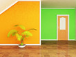 plant and the door