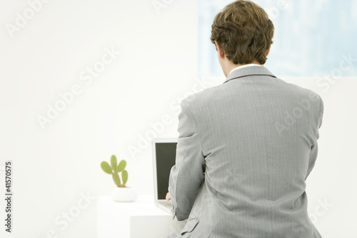 Photo: Businessman using laptop, rear view Businessman using laptop, rear view