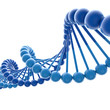 DNA Moleküle DNA Moleküle