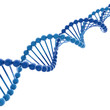 DNA Moleküle