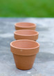 Three terracotta pots