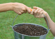 Two people's hands holding pot of soil together, close-up
