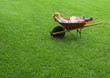 Boy sleeping in wheelbarrow
