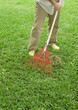 Man raking yard, waist down