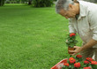 Mature man holding potted flower