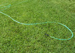 Garden hose lying on grass