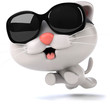Fun cat