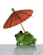 Frog on Vacation by Waterside