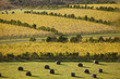 Oyster Bay Vineyards