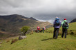 Cwm Penannt