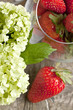 Strawberries and flowers Strawberries and flowers