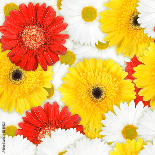 Foto: Seamless background of motley flowers Seamless background of motley flowers