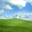 Photo en ligne au meilleur prix Ciel bleu et prairie verte