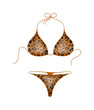Bikini suit – leopard design Bikini suit – leopard design