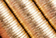 coins (russian 10 rubles)