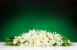 Flowers on green background