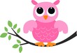 a cute little pink owl