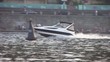 Motorboat
