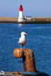 Bretagne-Le Guilvinec-France I