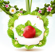Strawberry with leafs Strawberry with leafs