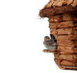 Foto: BIRD HOUSE BIRD HOUSE