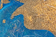 Rice seed Rice seed