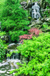 Little beautiful waterfall .Nature Scenery Little beautiful waterfall .Nature Scenery