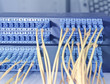network cables and hub in data center network cables and hub in data center