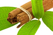 cannelle, écorce et feuilles