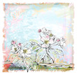 sketch of apple tree in bloom