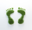 Grass footrpints