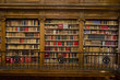 Magnificent library of books and ancient scrolls