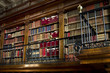 Magnificent library of books and ancient scrolls