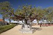 Bench in Porta do Sol park in Santarem. Bench in Porta do Sol park in Santarem.