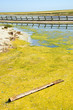 Stagno di Portu Suedda, in Sardegna