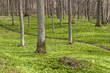 Hiking trail
