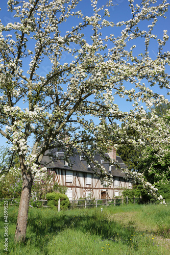 Photo: Paysage Campagne 78 Paysage Campagne 78