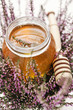 herbal honey