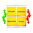 SWOT Analysis 2