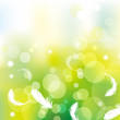 green background with feather