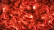 streaming blood cells in vein streaming blood cells in vein