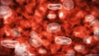 streaming blood cells in vein streaming blood cells in vein