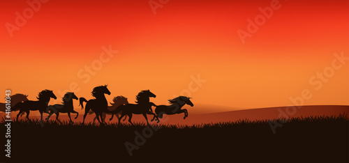 Vector: herd of wild horses - editable vector illustration herd of wild horses - editable vector illustration