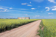Rural landscape country road, canola field and hives Rural landscape country road, canola field and hives