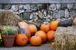 Citrouilles