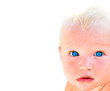 Photo: Baby Blue Eyes Baby Blue Eyes