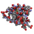 Insulin molecule